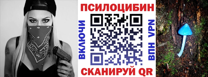 darknet Telegram  наркота  Ессентукская  Псилоцибиновые грибы ЛСД 