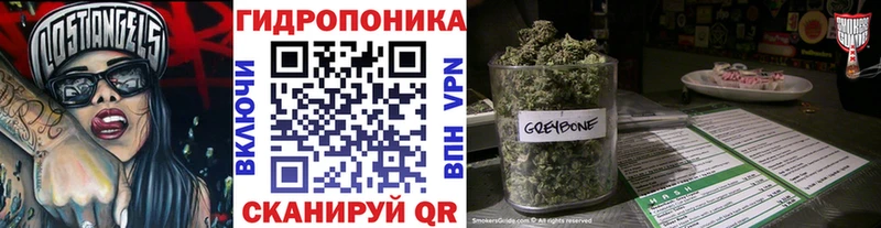как найти закладки KRAKEN зеркало Шишки марихуана планчик Ессентукская